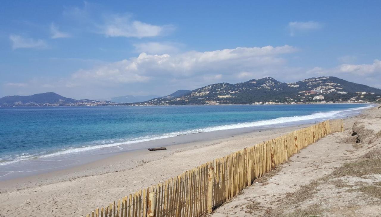 Studio Proche Port Et Plages, Piscine Hyères Exteriör bild