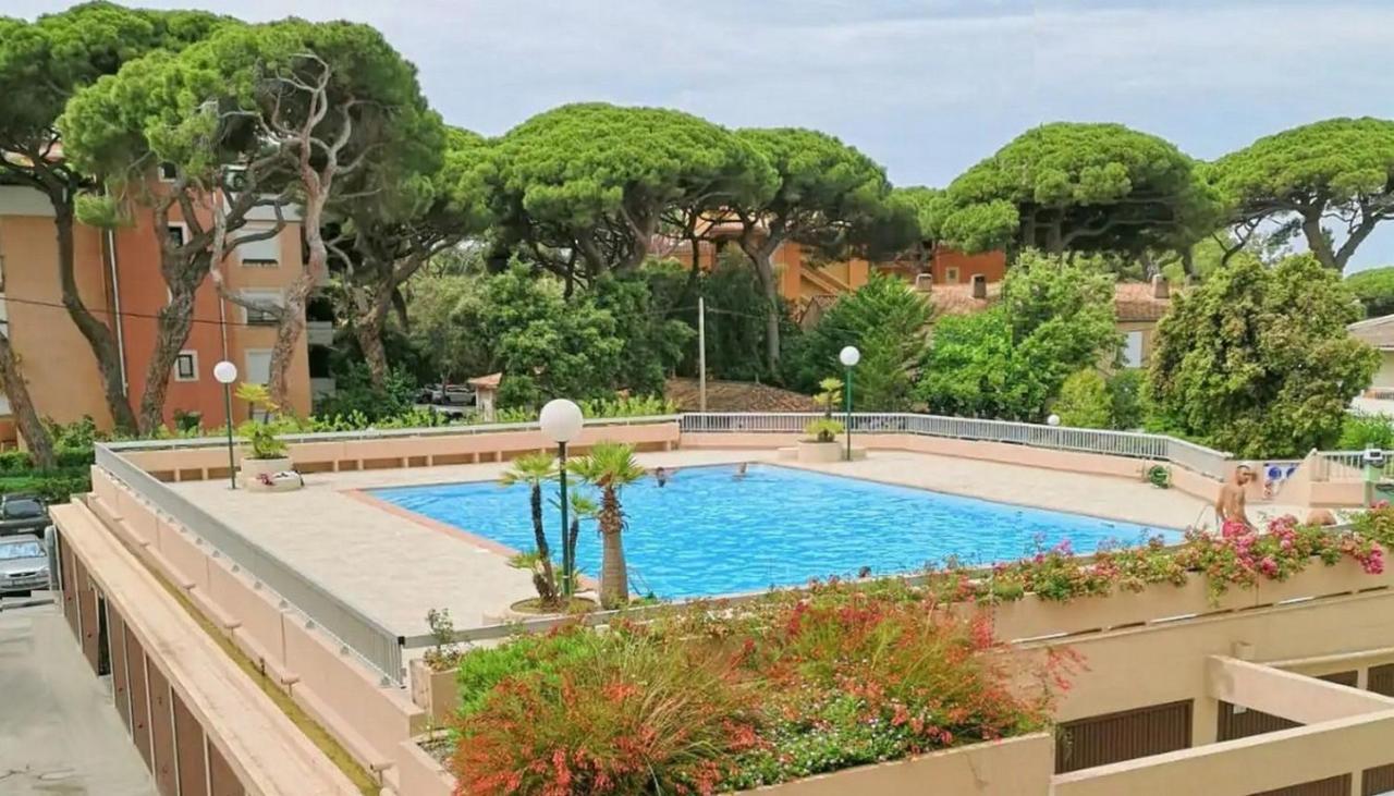 Studio Proche Port Et Plages, Piscine Hyères Exteriör bild